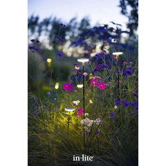 in-lite 12v outdoor lighting sway post lights among wildflowers