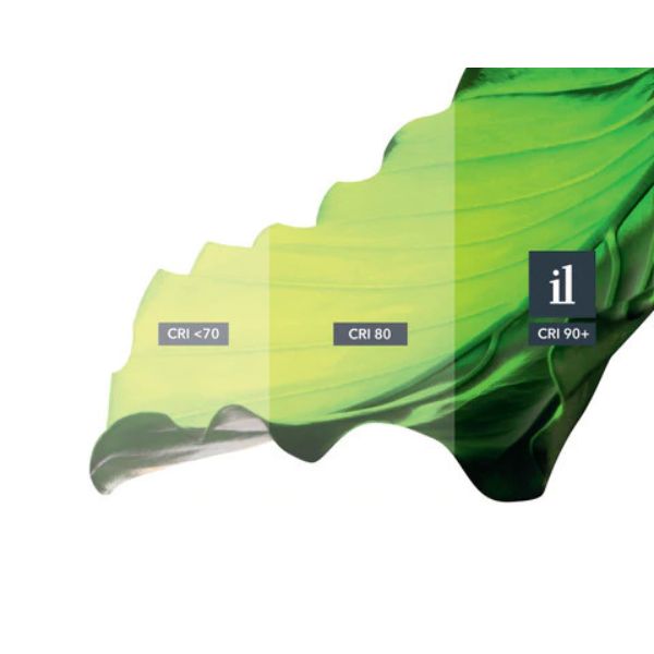 In-lite ACE UP DOWN 12v LED Low Voltage Outdoor Wall Lights (IP55)