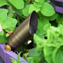 Low Voltage Garden Lights, Lumena Charleston Minilite 12v Outdoor Spotlight in Planting Bed