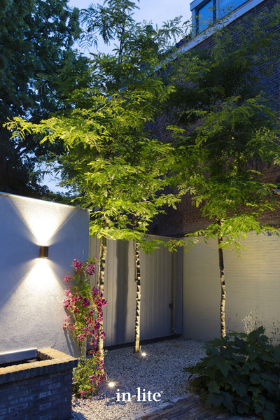 Atmospheric lighting by in-lite. ACE UP DOWN 12v outdoor wall light fixture illuminating white rendered wall in landscaped contemporary garden.