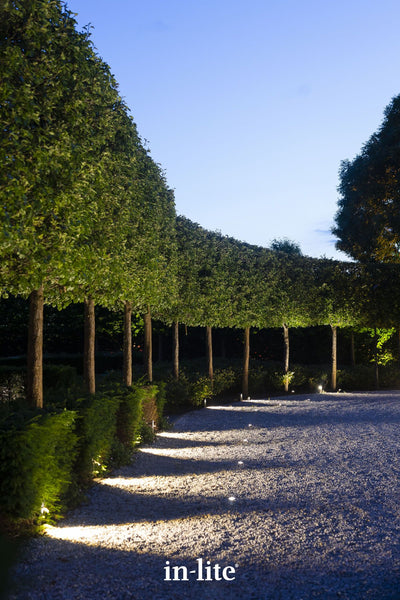 Atmospheric lighting by in-lite. ACE 12v outdoor bollard lighting fixtures illuminating driveway borders with a focused downward light beam.