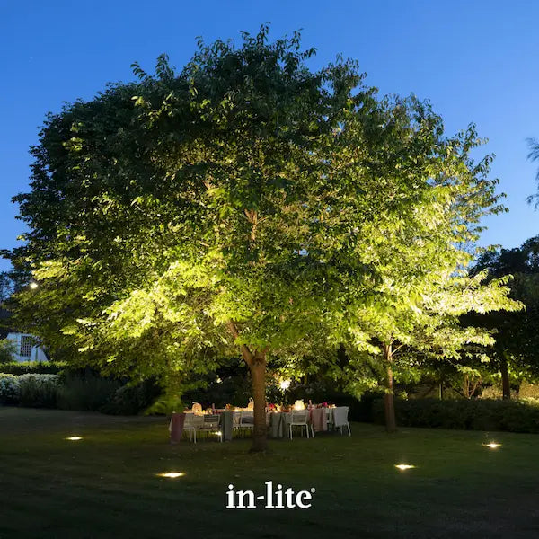 in-lite atmospheric garden lighting. In-lite BIG NERO 12v Outdoor Ground Spotlights installed in ground positions around a group of three dedicious trees. The In-lite BIG NERO ground spotlights are illuminating the lower and middle parts of the tree canopies with powerful and reaching beams of light.