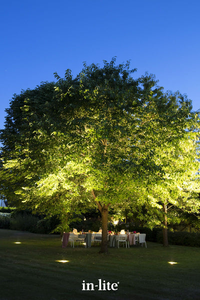 A vertical twilight shot focusing on a massive, mature tree on a manicured lawn. Its dense green canopy is dramatically uplit by high-output in-lite BIG NERO ground lights flush-mounted directly into the grass. Beneath the softly glowing branches, a long outdoor dining table is set for an elegant evening gathering, contrasting the warm landscape lighting against a deep blue evening sky.