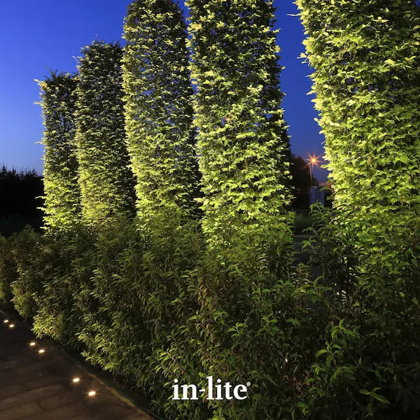 in-lite atmospheric garden lighting. In-lite BIG SCOPE NARROW 12v Outdoor Spotlights installed in ground positions hidden amongst shrubs. The In-lite BIG SCOPE NARROW outdoor spotlights are illuminating tall shaped trees with a reaching and narrow beam of focused light from the ground upwards. The tall shaped trees are planted in a row and positioned along a pathway border.