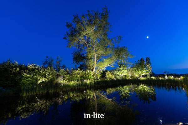 A stunning twilight photograph of a large, illuminated tree dramatically reflected in a still pond, set against a deep blue night sky with a crescent moon. Smaller lit trees and shrubs line the pond bank. The 'in-lite' logo is subtly placed in the reflection.