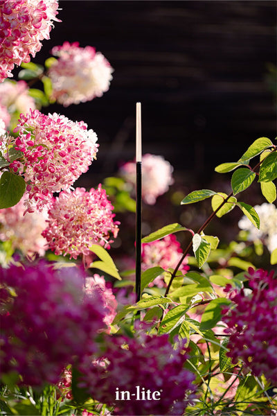 Atmospheric lighting by in-lite. BREEZE 12v Outdoor COB LED strip light flexible 360 degree lighting fixture positioned between plants, illuminating in a landscaped border.