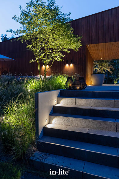 A twilight view of a high-end modern landscape featuring wide dark stone steps safely illuminated by in-lite LUNA recessed wall lights. The circular, low-voltage fixtures are mounted flush into a concrete retaining wall, casting warm, targeted light across the treads. The scene is framed by softly lit ornamental grasses, an uplit multi-stem tree, and decorative lanterns, all set against the backdrop of a contemporary timber-clad building with architectural wall lights.