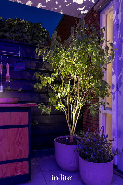 An in-lite Micro Scope spotlight is nestled at the base of a multi-stemmed tree in a modern ribbed planter. The miniature black fixture casts a warm, dramatic uplight through the tree's canopy, projecting intricate leaf shadows onto the white ceiling overhang above, beautifully contrasting with the deep blue and purple hues of the twilight patio setting.