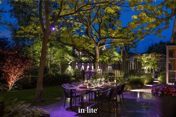 An evening shot of an outdoor dining setup on a paved garden patio. The space features in-lite low-voltage lighting, including direct uplighting into the mature tree canopies, accent lighting along the rear timber fence, and a purple light wash across the patio paving. A red maple is illuminated on the left, with a greenhouse structure visible in the background.