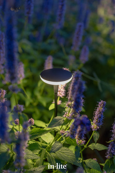 Atmospheric lighting by in-lite. SWAY 12v outdoor bollard light fixture closely illuminating flowering perennials harmoniously within a landscaped garden.