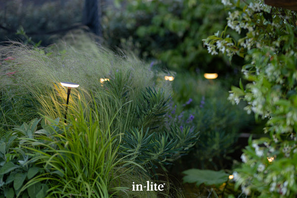Atmospheric lighting by in-lite. SWAY 12v outdoor lighting fixtures illuminating grasses and perennials, harmonious within a landscaped garden.