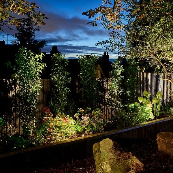 12v LED low voltage outdoor spotlights illuminating low level plants in garden border raised bed.