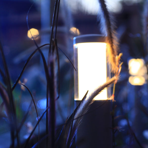 Low Voltage Garden Lights,  In-lite LIV 12v LED Low Voltage Outdoor Post Light In Border