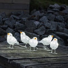Konstsmide SET OF FIVE SMALL BIRDS With 40 White LEDs - Outdoor Decorative Lights