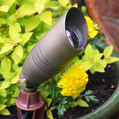 Low Voltage Garden Lights,  Lumena Director 12v Outdoor Spotlight in Flower Pot